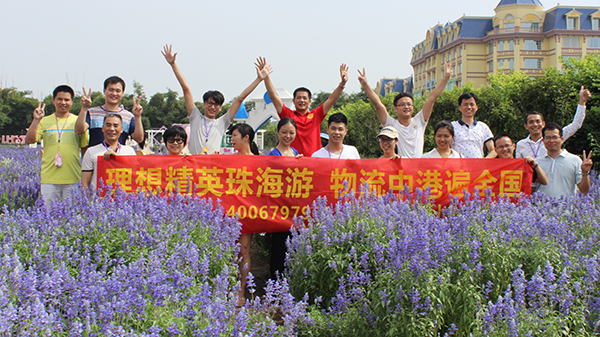 發(fā)貨到香港,深圳理想物流有限公司 發(fā)貨到香港,深圳理想物流有限公司